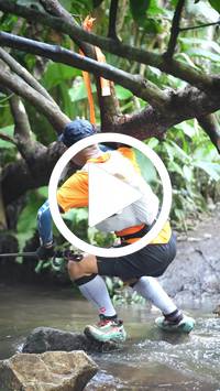 BIB:  <button type="button" onclick="openModal(27824432)" class="btn btn-primary btn-sm float-right" data-toggle="modal" data-target=".modal-high-quality">
                <i class="fa fa-download"></i> Download
                </button>